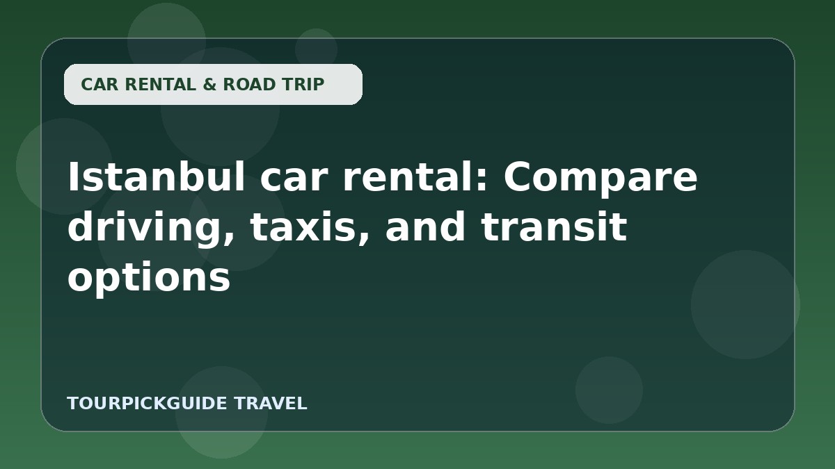 Istanbul car rental: Compare driving, taxis, and transit options