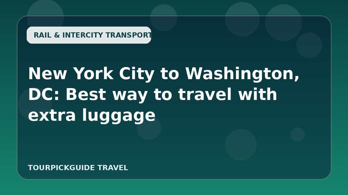 New York City to Washington, DC: Best way to travel with extra luggage