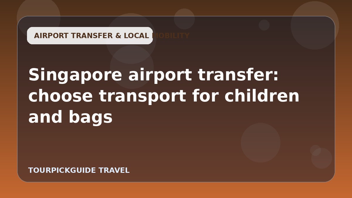 Singapore airport transfer: choose transport for children and bags