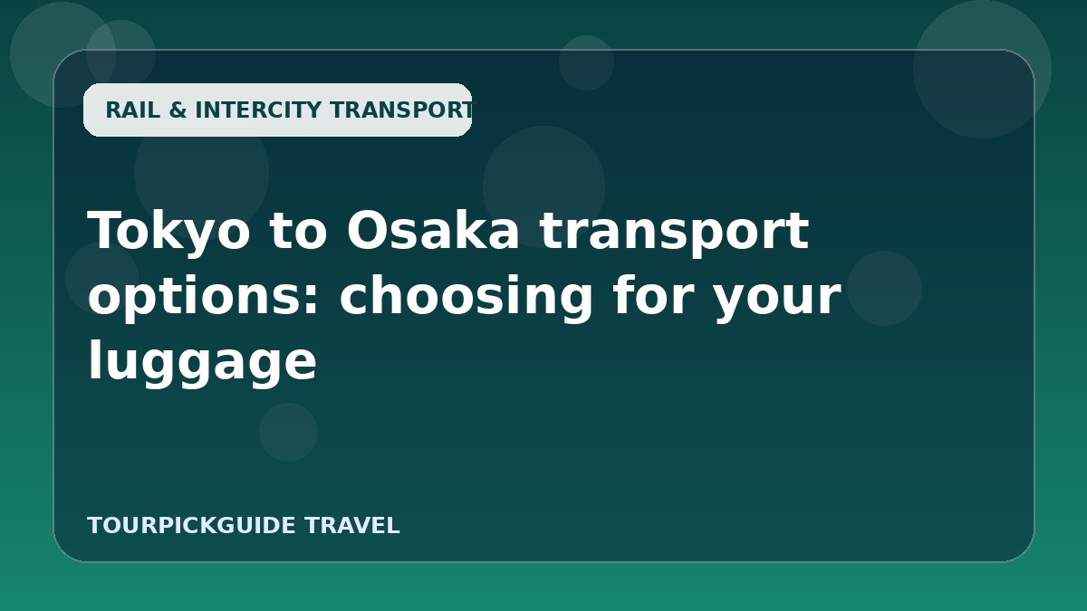 Tokyo to Osaka transport options: choosing for your luggage