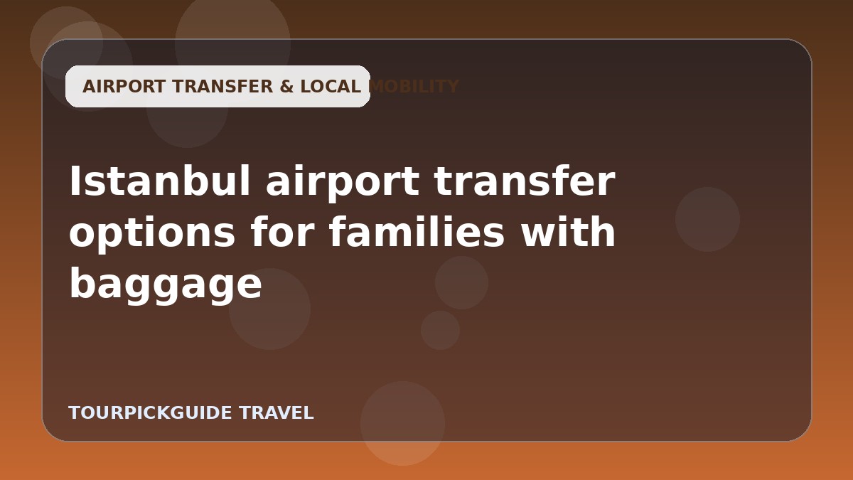 Istanbul airport transfer options for families with baggage