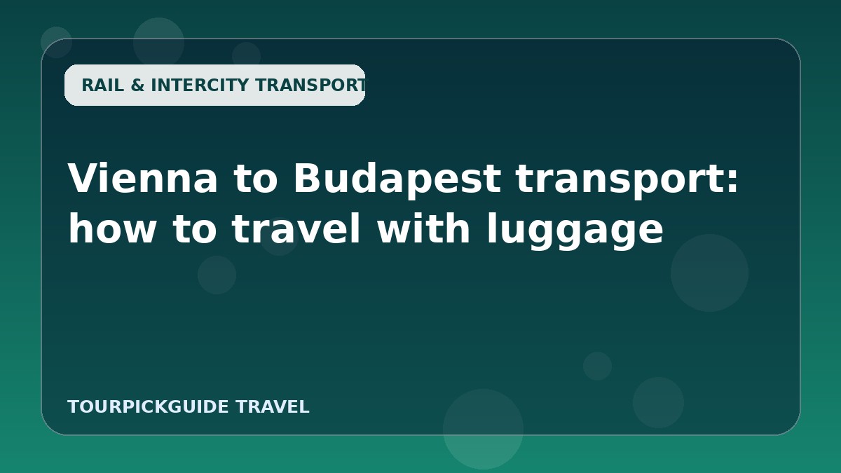 Vienna to Budapest transport: how to travel with luggage