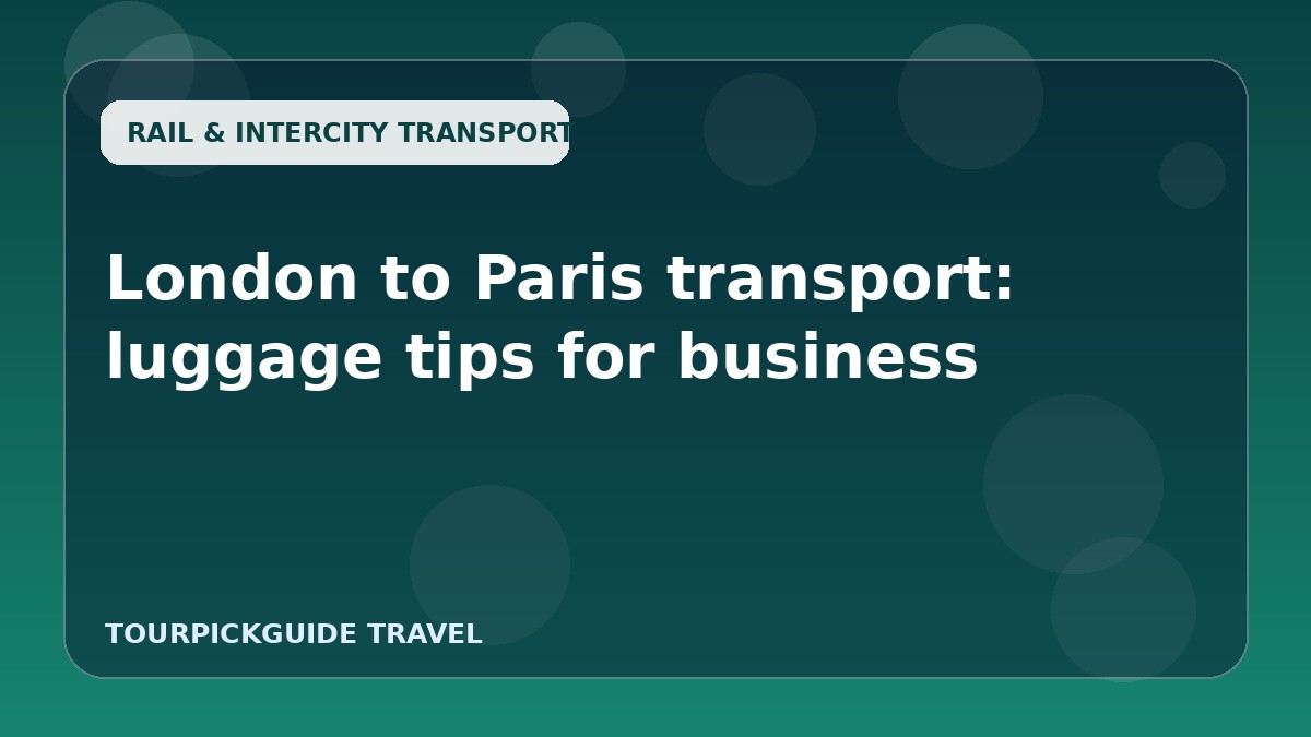 London to Paris transport: luggage tips for business