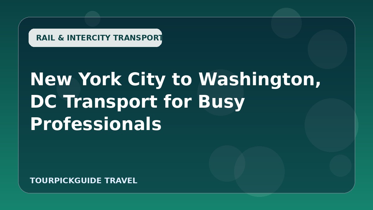 New York City to Washington, DC Transport for Busy Professionals