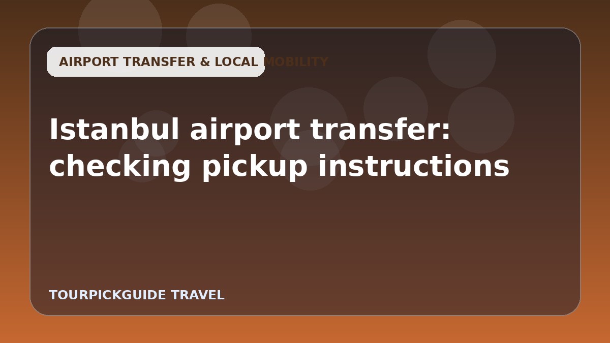 Istanbul airport transfer: checking pickup instructions