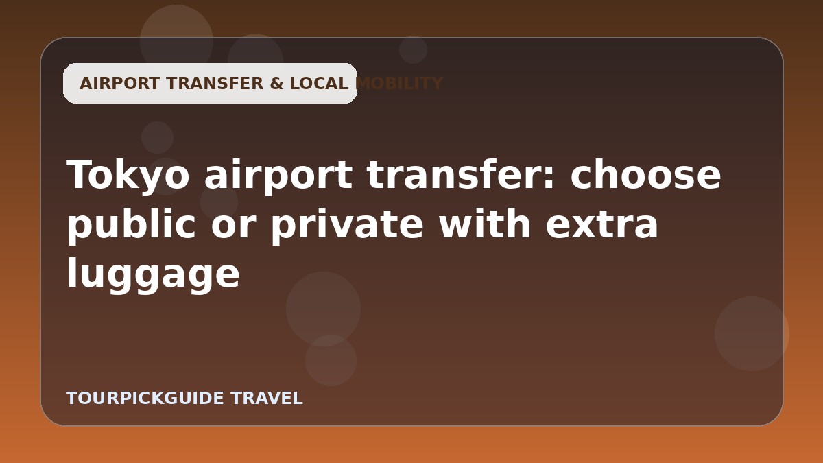 Tokyo airport transfer: choose public or private with extra luggage