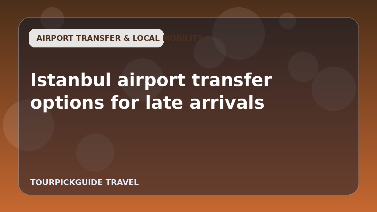 Istanbul airport transfer options for late arrivals