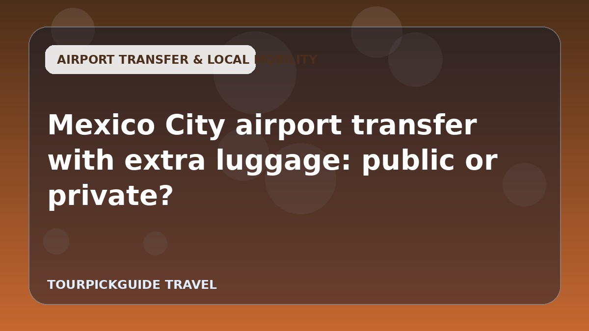 Mexico City airport transfer with extra luggage: public or private?