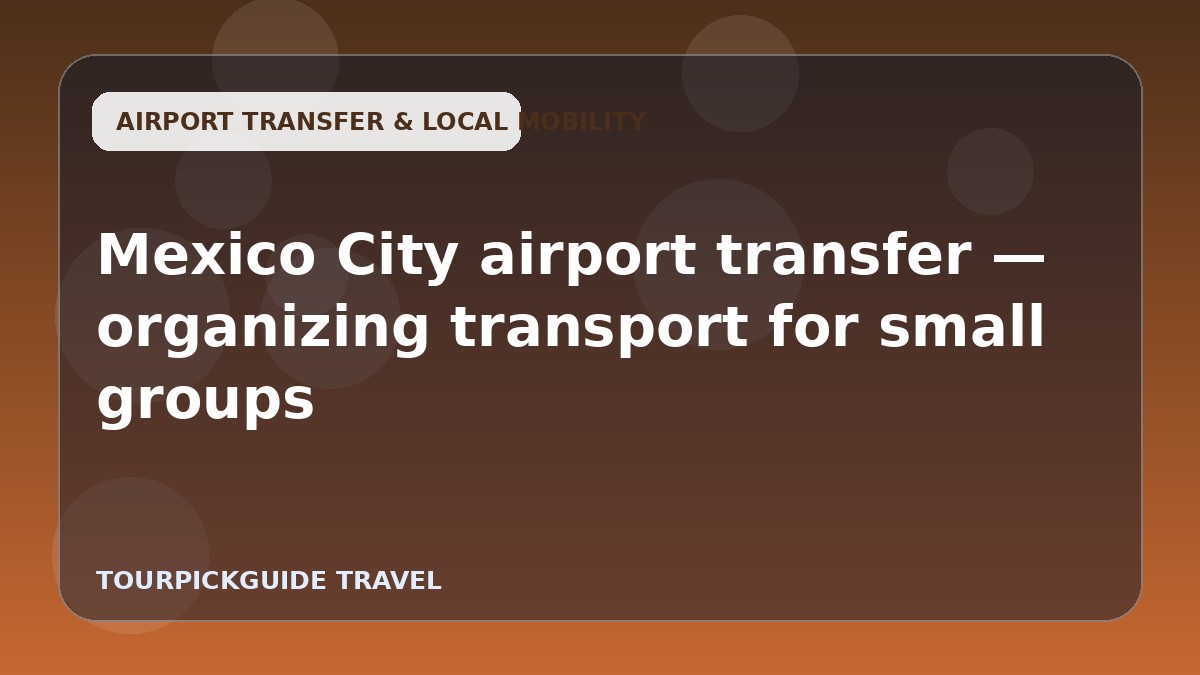 Visual guide for Mexico City airport transfer — organizing transport for small groups