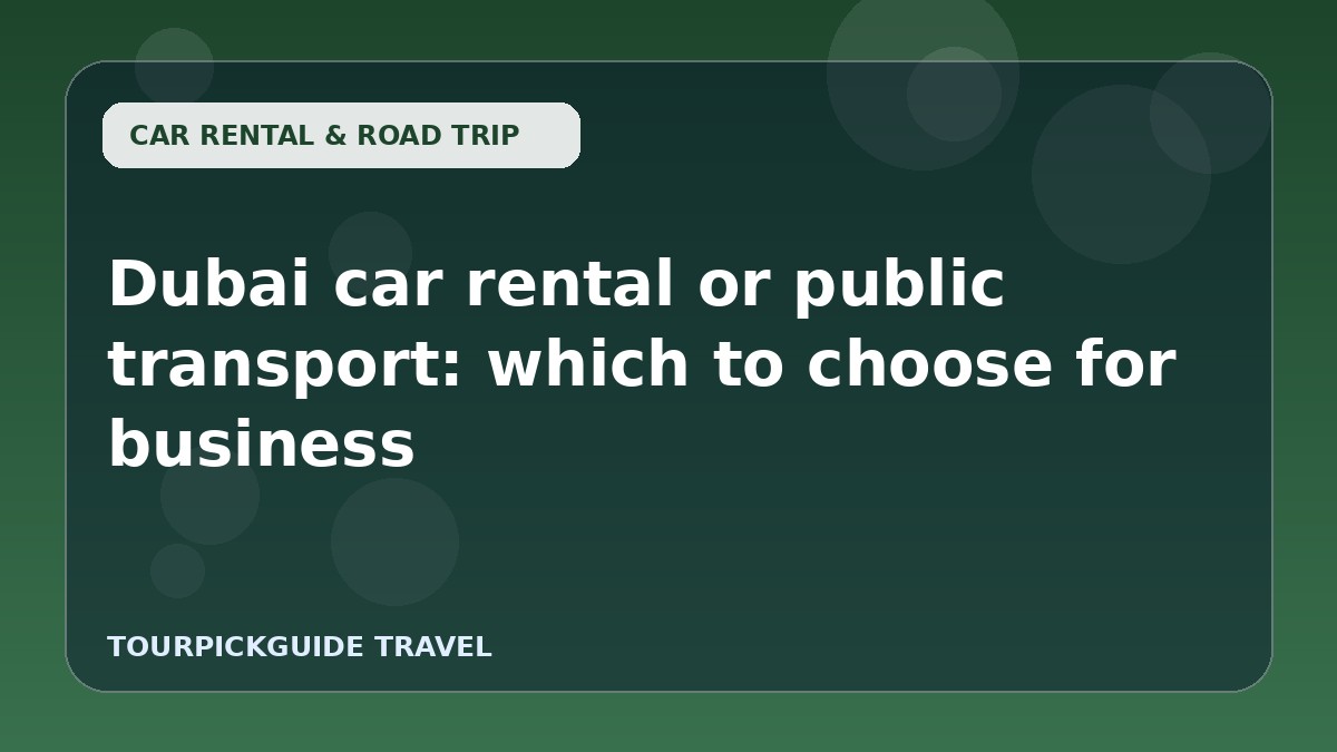 Visual guide for Dubai car rental or public transport: which to choose for business