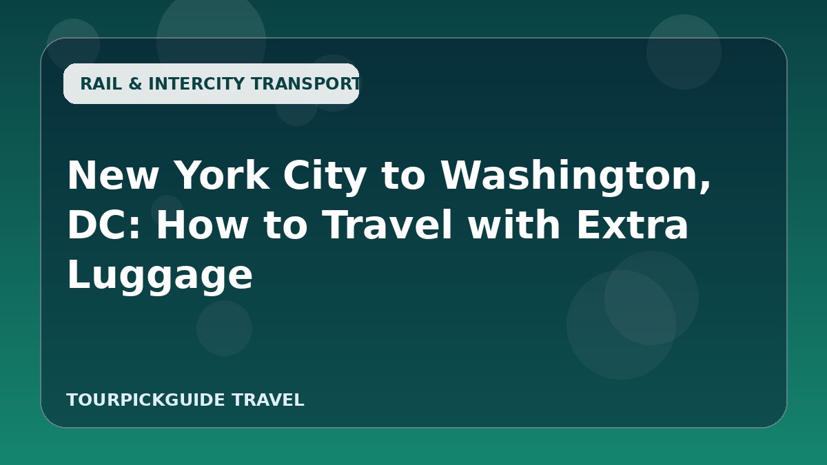 Visual guide for New York City to Washington, DC: How to Travel with Extra Luggage