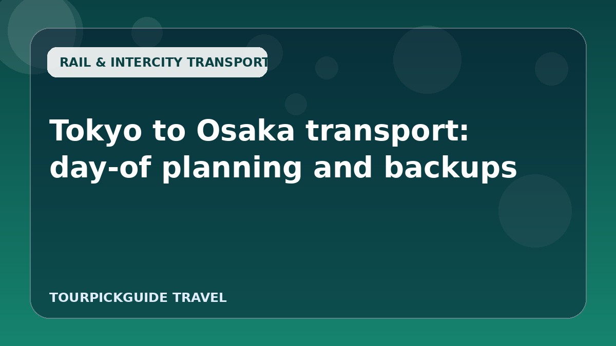Visual guide for Tokyo to Osaka transport: day-of planning and backups