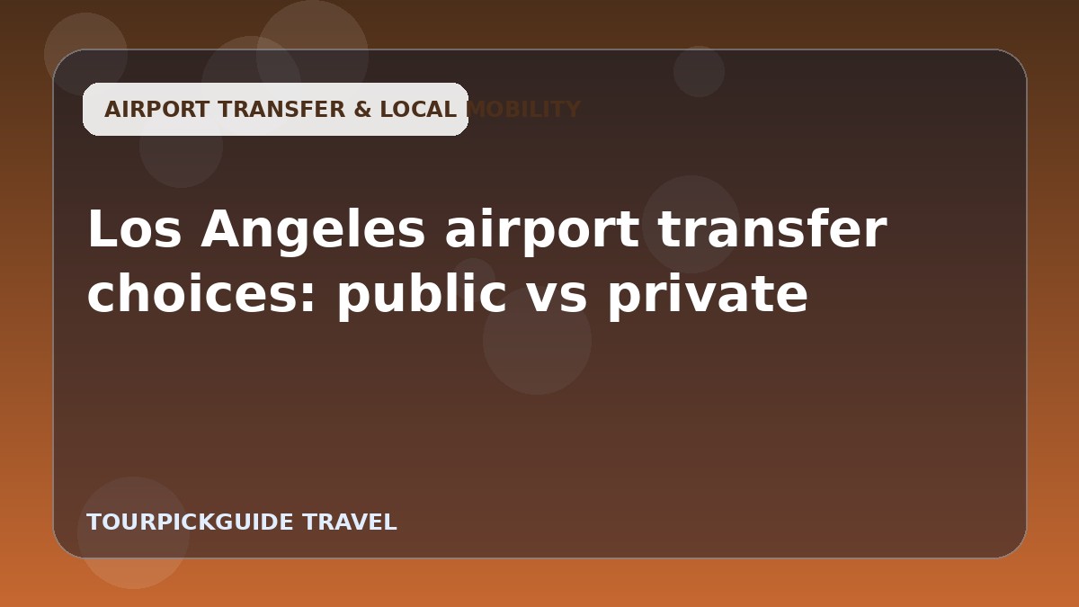 Visual guide for Los Angeles airport transfer choices: public vs private
