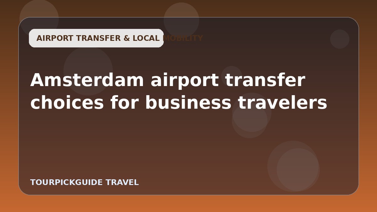 Visual guide for Amsterdam airport transfer choices for business travelers