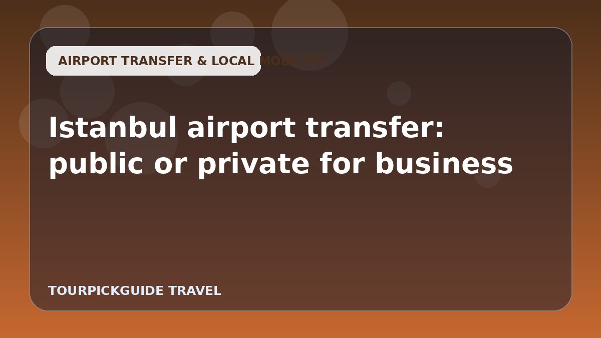 Visual guide for Istanbul airport transfer: public or private for business