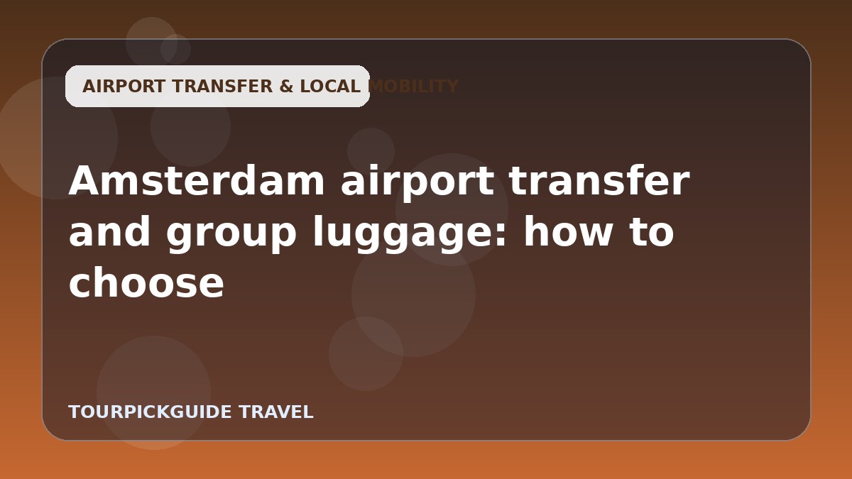 Visual guide for Amsterdam airport transfer and group luggage: how to choose